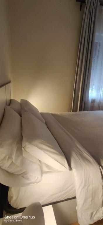 Postel nebo postele na pokoji v ubytování Gasteiz Etxea Il