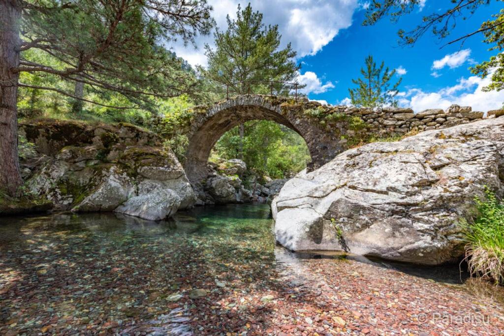 eine alte Steinbrücke über einen kleinen Bach in der Unterkunft U PASTURELLU in Pioggiola