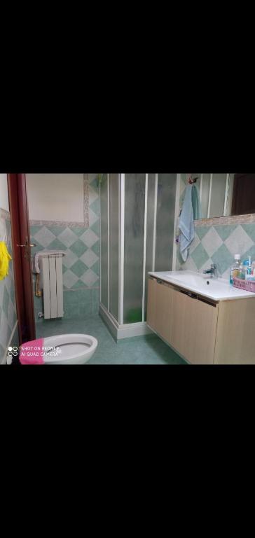 ein Bad mit einer Dusche, einem Waschbecken und einem WC in der Unterkunft Villa marco Simone in Rom
