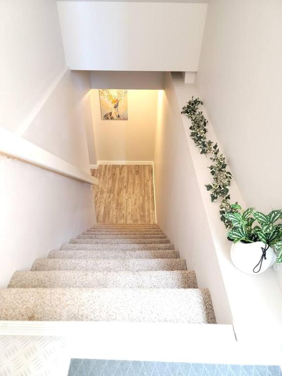 Fotografie z fotogalerie ubytování Cozy Private Suite v destinaci Winnipeg