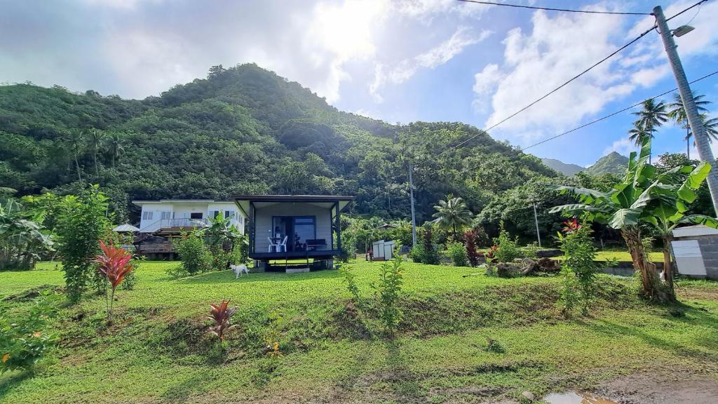 dom w polu z górą w tle w obiekcie TAHITI ITI - Bungalow O Spot Teahupoo w mieście Teahupoo