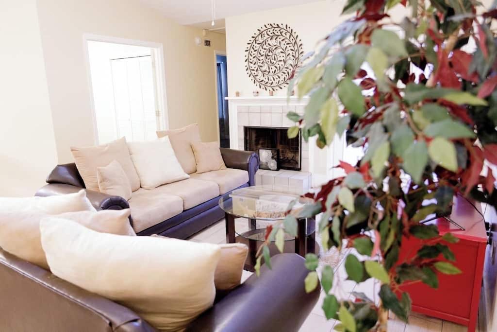 Tallahassee Gem: Cozy & Convenient - Housity