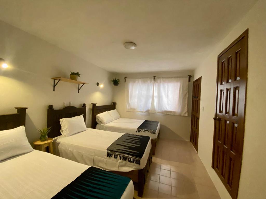 Cette chambre comprend 2 lits et une fenêtre. dans l'établissement Casa Venus, à San Cristóbal de Las Casas
