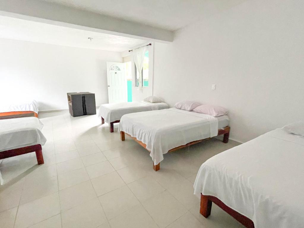 Postel nebo postele na pokoji v ubytování Hotel Vias Maya Bacalar