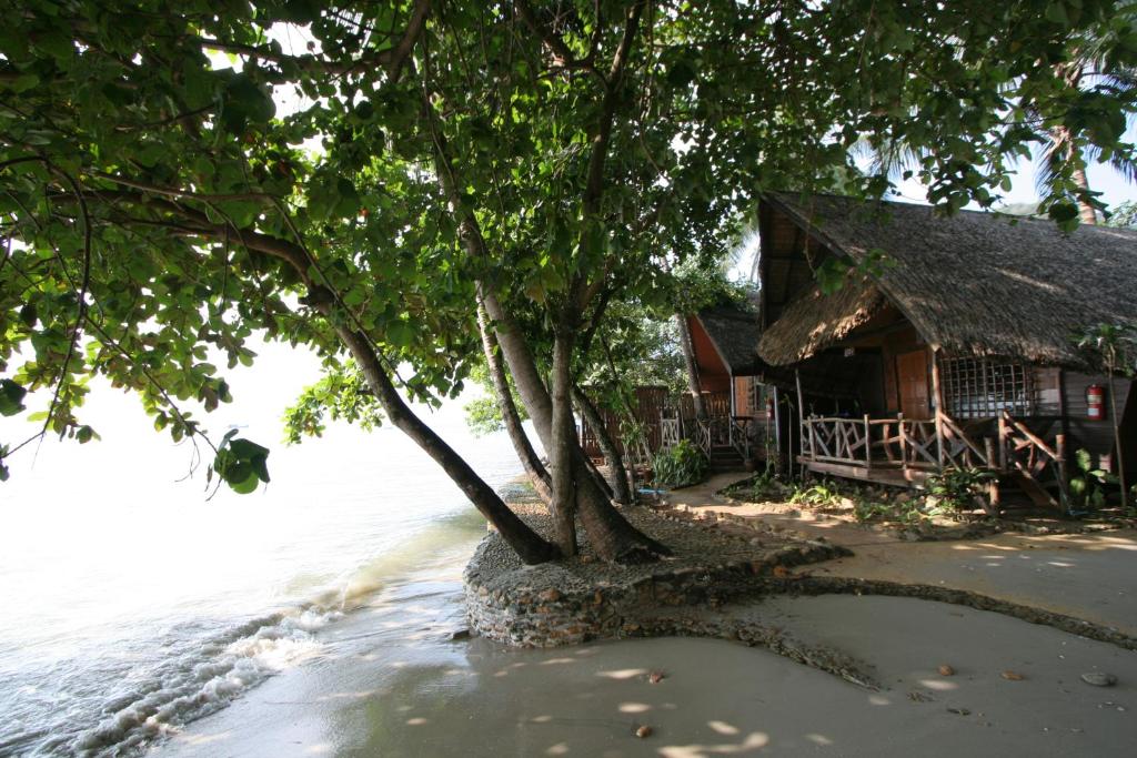 a tree in the water in front of a house at Banpu Koh Chang Resort in Ko Chang