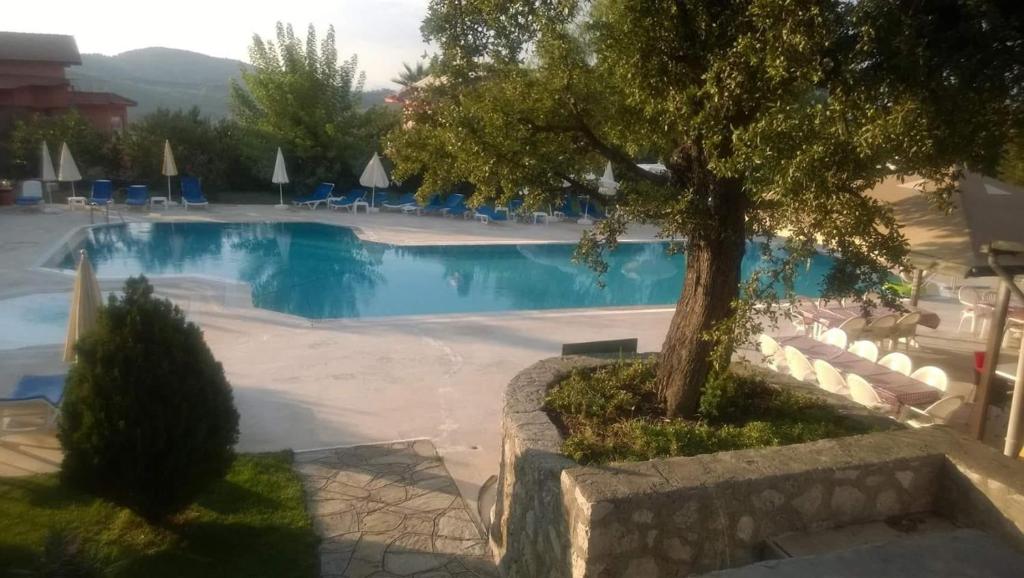 Bazén v ubytování Dolphin Apartments nebo v jeho okolí