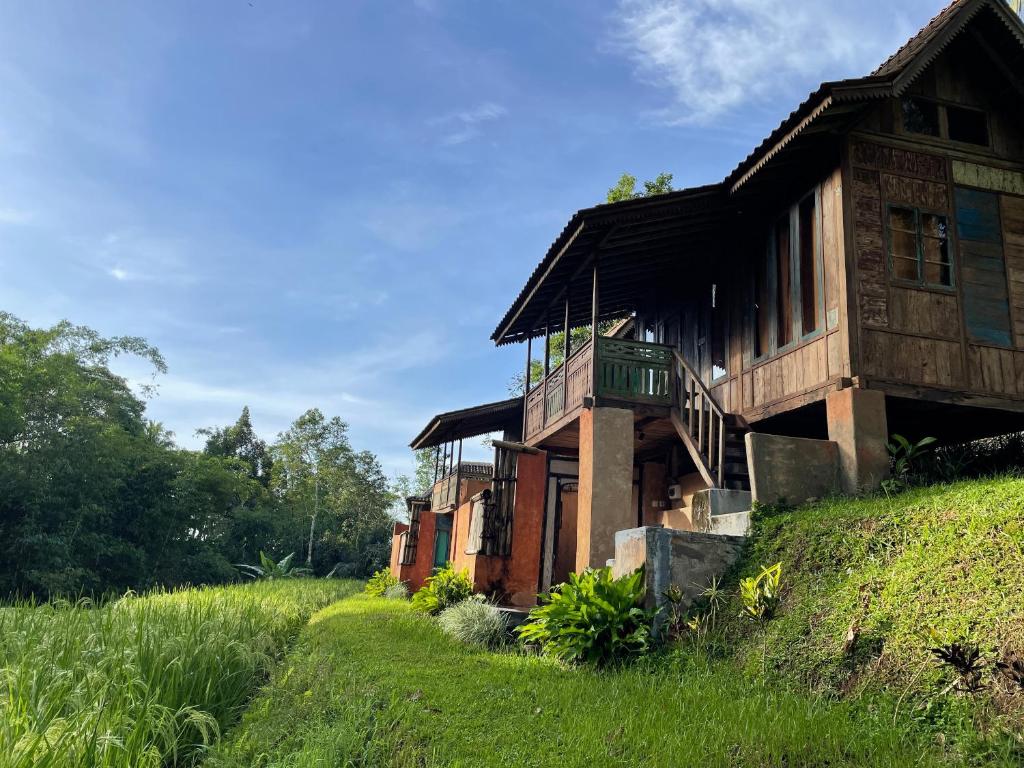 Oemah Tepi Sawah - 8