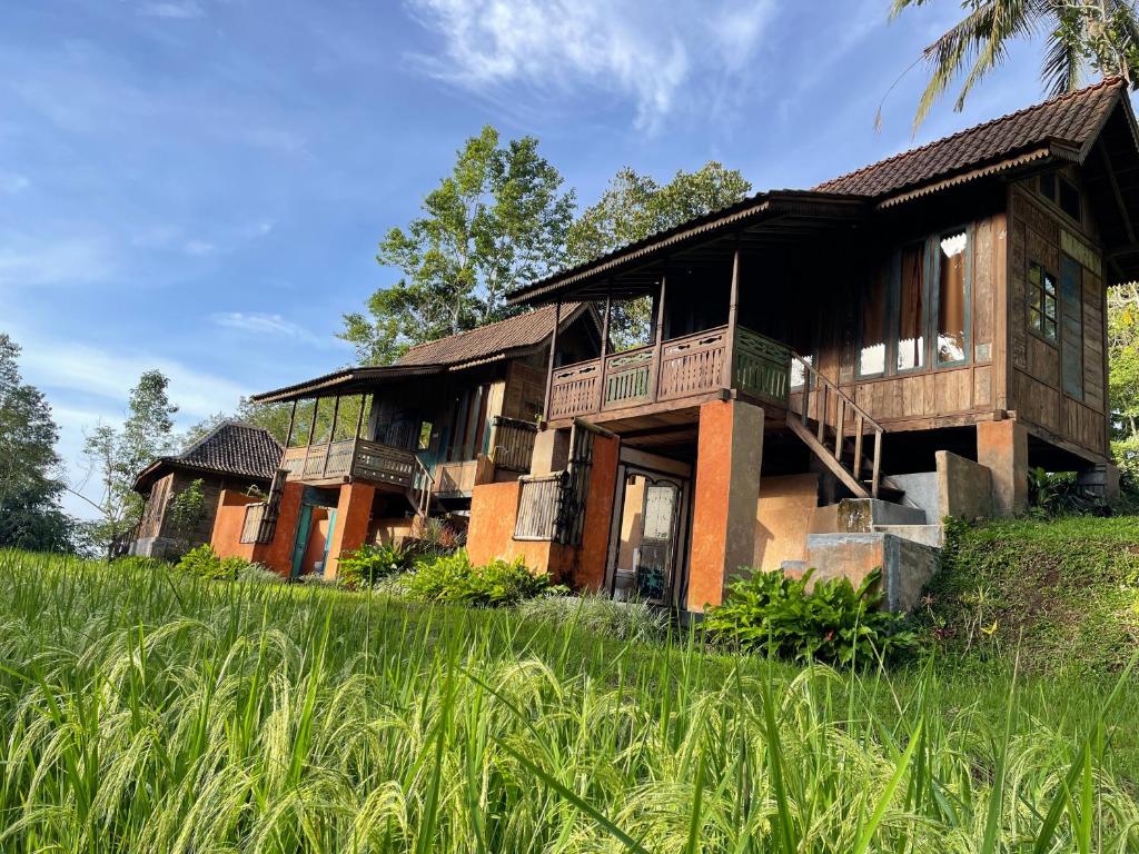 Oemah Tepi Sawah - 13