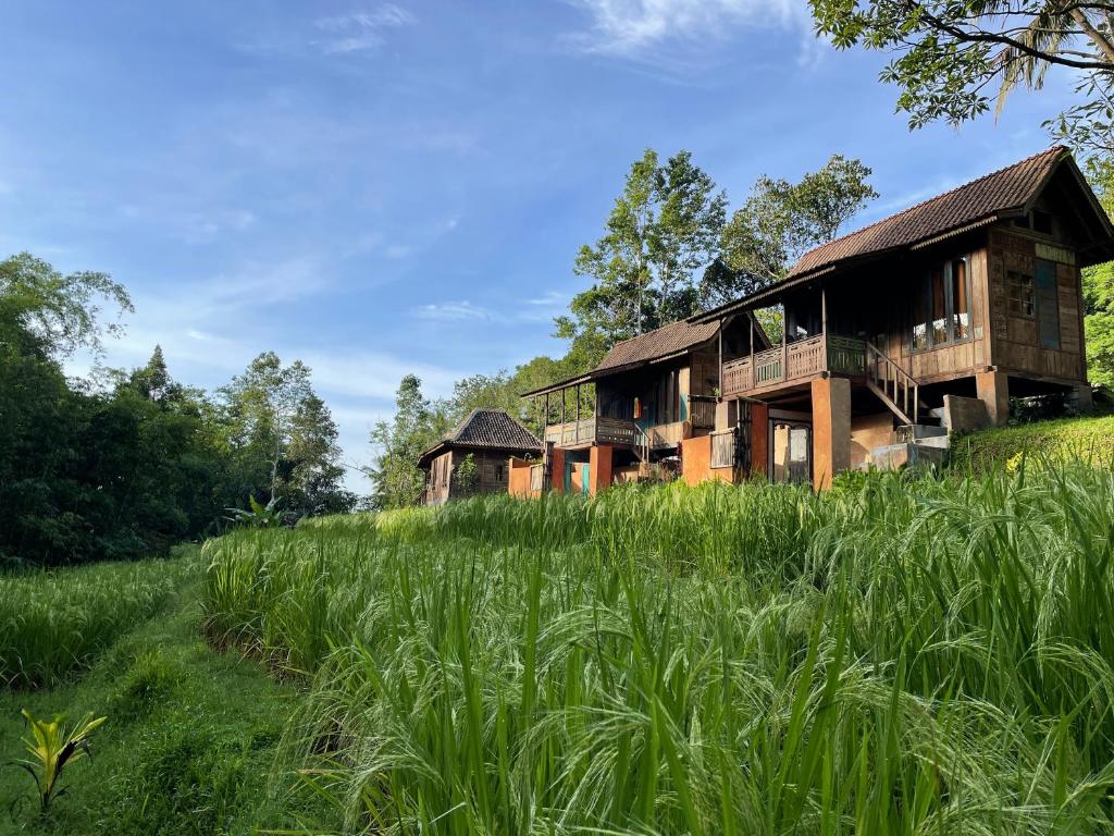 Oemah Tepi Sawah - 16