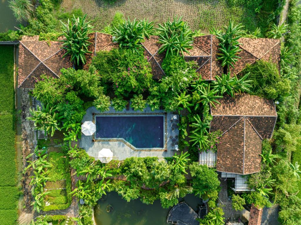 an overhead view of a pool with trees and plants at ChezCao Rice Field Ecolodge Ninh Binh in Ninh Binh