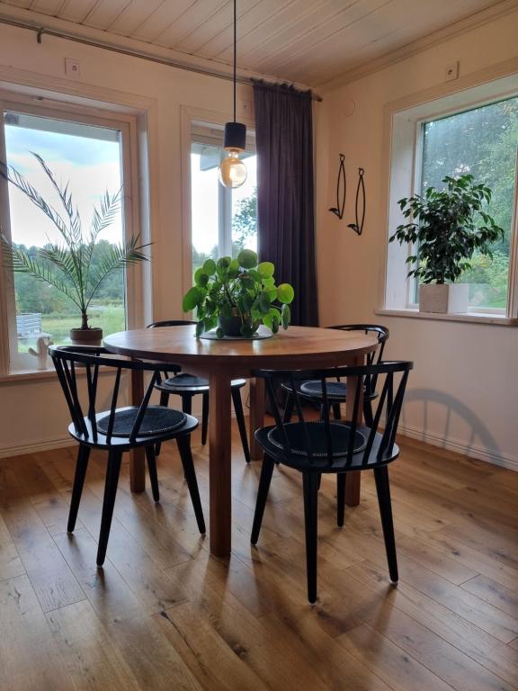 Fotografie z fotogalerie ubytování Riverside villa v destinaci Borlänge