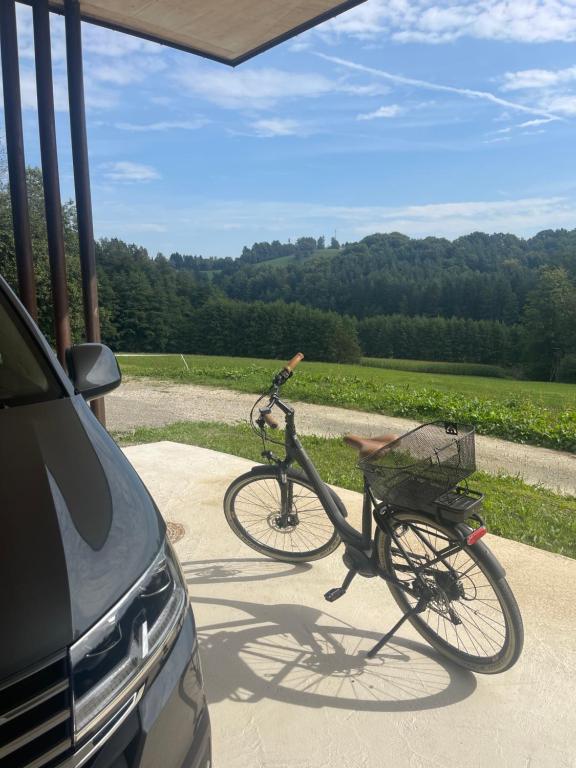 Jízda na kole v ubytování Sunhand home nebo okolí
