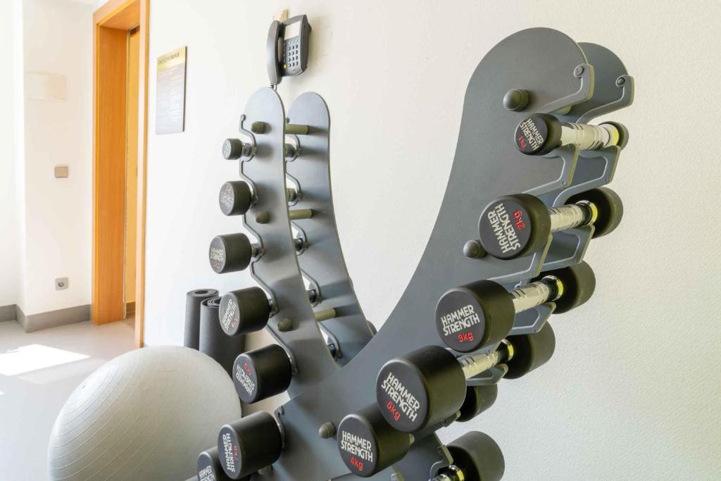 Fitness centrum a/nebo fitness zařízení v ubytování PLAZA Premium Wien