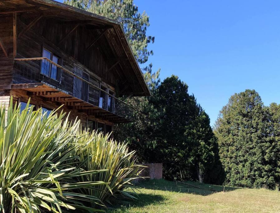 ein Holzhaus mit einer Veranda und einigen Pflanzen in der Unterkunft Guajuvira House Casa de Campo in Araucária