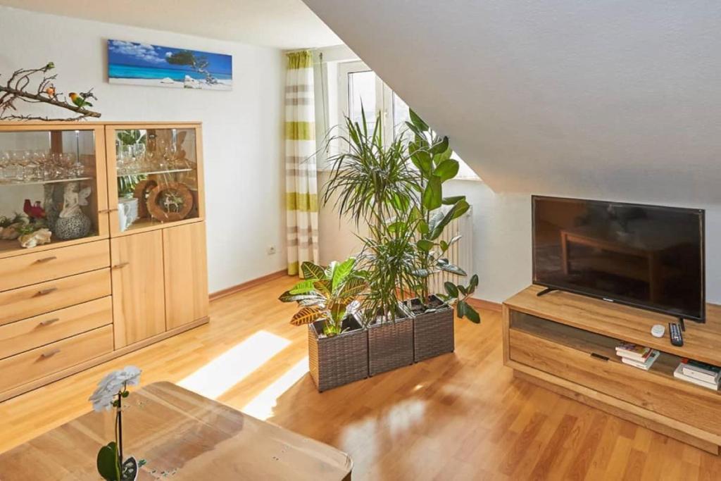 a living room with a flat screen tv and potted plants at Ferienwohnung Sonya in Andernach