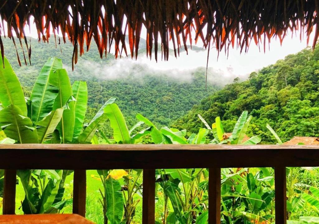 a view of a jungle from a porch with a view at Pu Luong Homestay & Tours in Hương Bá Thước