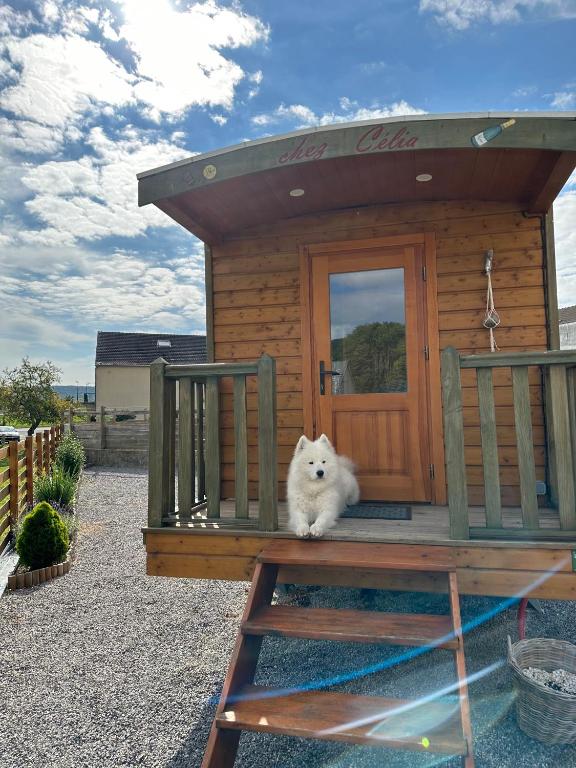 un chien blanc assis devant une petite maison dans l'établissement Chez Célia, Roulotte en Champagne, à Fleury-la-Rivière