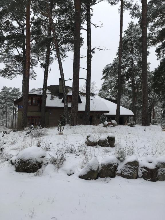 Vabaduse Guesthouse v zimě