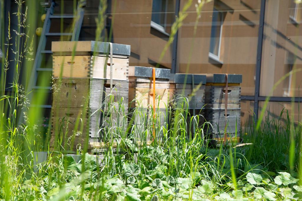 Trans World Hotel Donauwelle - Resim 28