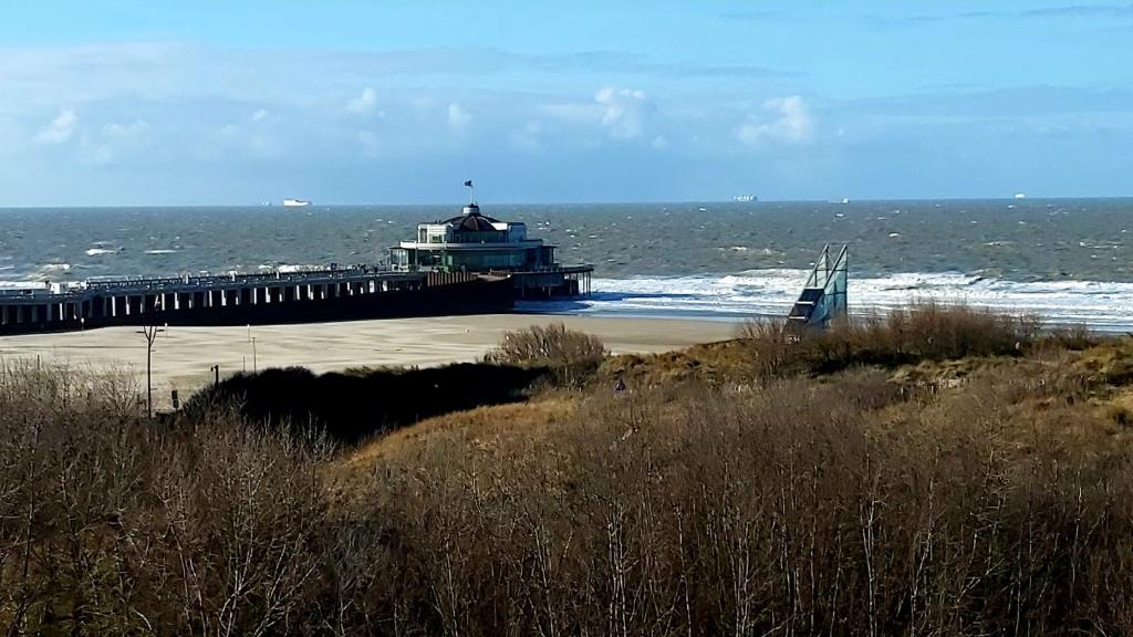 une plage avec une jetée et l'océan dans l'établissement Studio met zeezicht, à Blankenberge