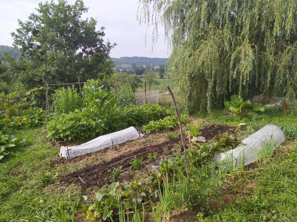 Dārzs pie naktsmītnes Les Gites de Campardon