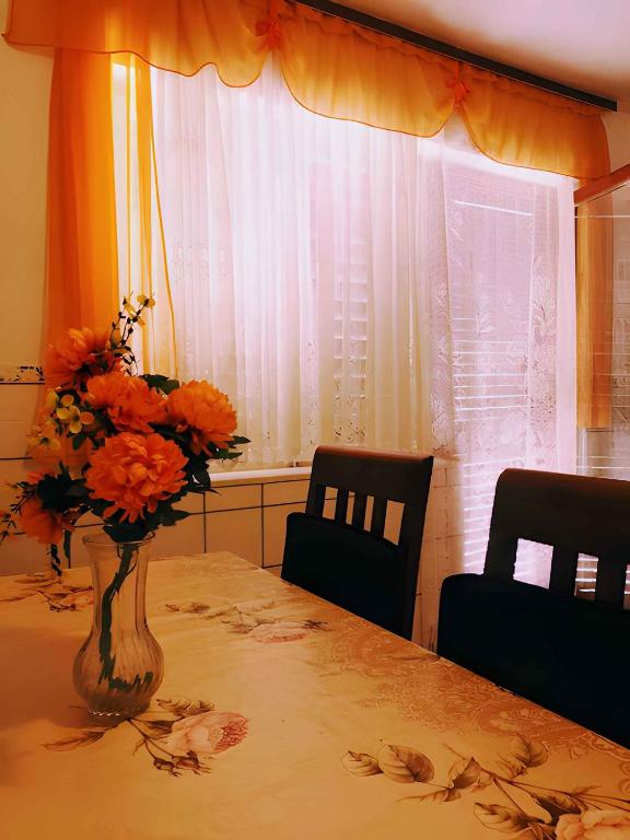 Fotografie z fotogalerie ubytování Apartment Karlobag/Velebit Riviera 34907 v destinaci Karlobag