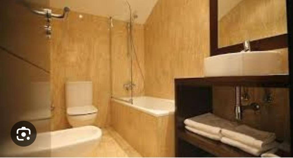 a bathroom with a toilet and a sink and a tub at hotel asador versus in Burgos