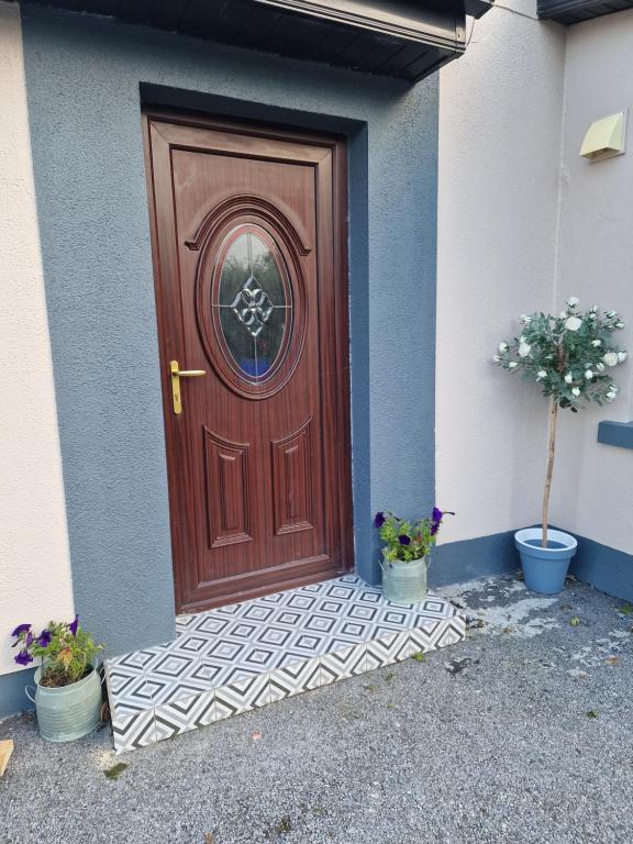 a wooden door on a house with two potted plants at Creevelea Manor in Galway