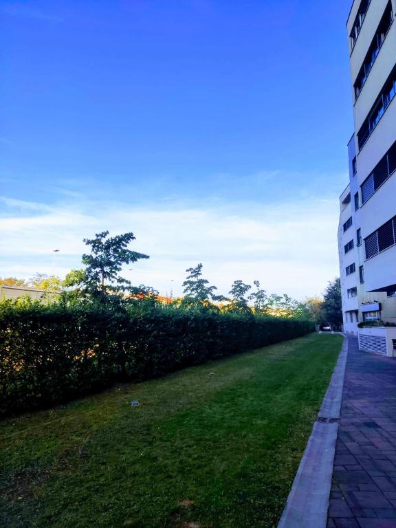 Gasperius apartments - 12