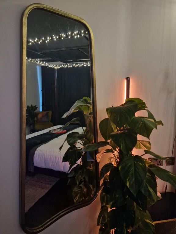 Fotografie z fotogalerie ubytování The Penny Black Apartment With Indoor Hot Tub v destinaci Slamannan