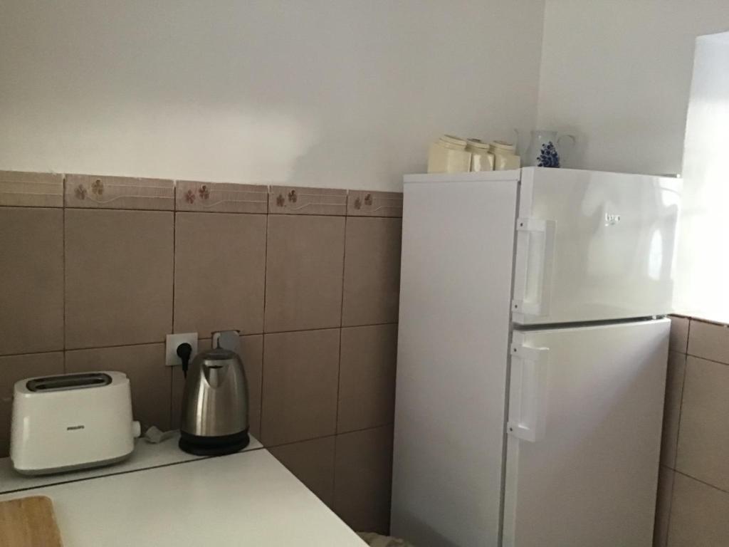 Kuchyň nebo kuchyňský kout v ubytování Apartments Subotic