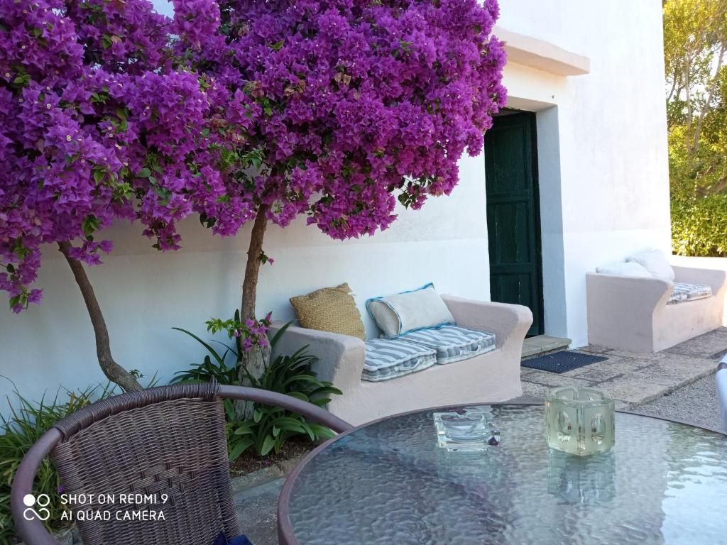 Antica Residenza Estiva - Apartamento De Un Dormitorio