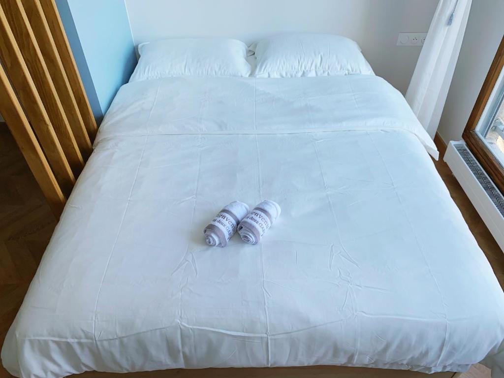 a pair of batteries sitting on a bed at Chez les deux garçons in Montrouge