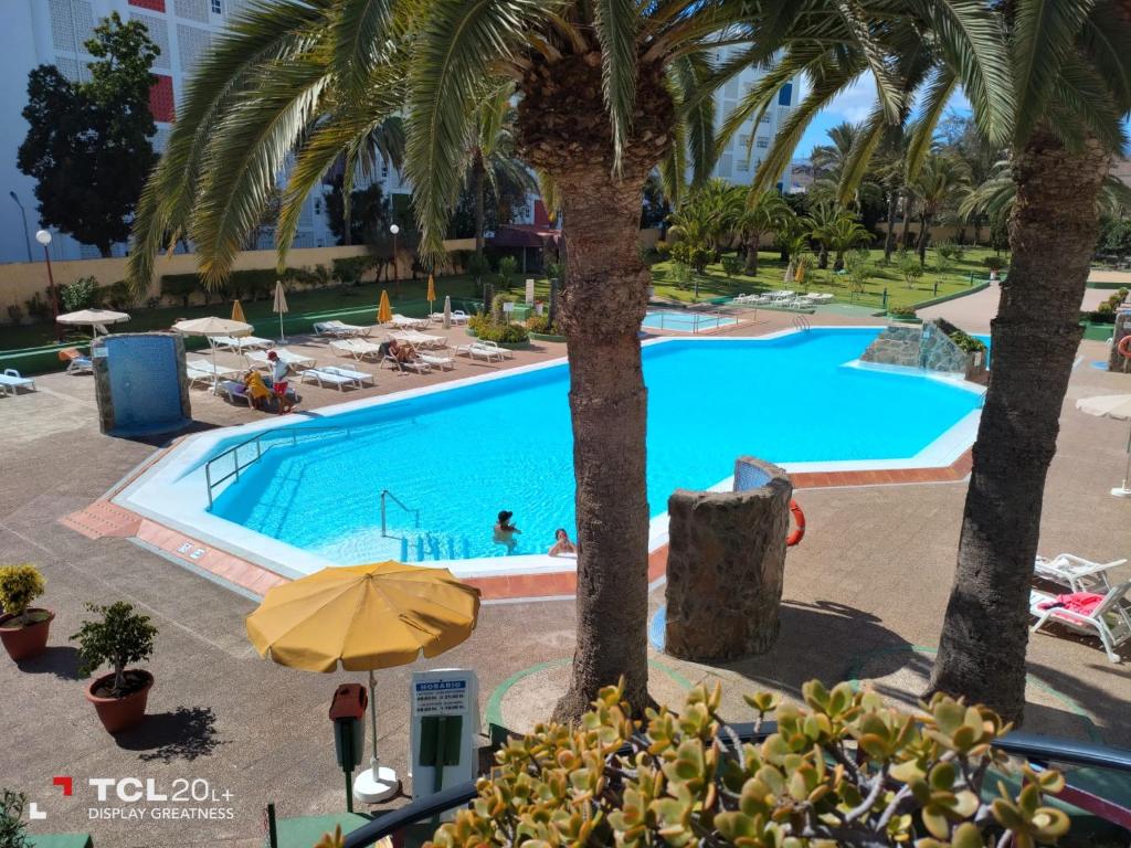 una vista aérea de una piscina con palmeras en Casa Maya en Maspalomas