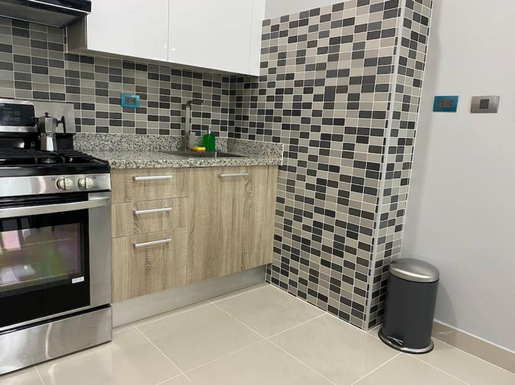 Kuchyň nebo kuchyňský kout v ubytování Cozy City Center Condo Full AC