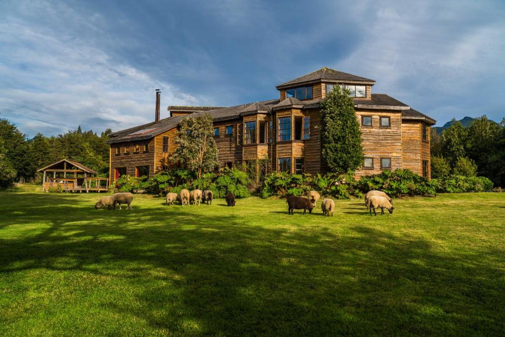 a herd of sheep grazing in front of a house at Andes Lodge, Puelo Patagonia in Puelo
