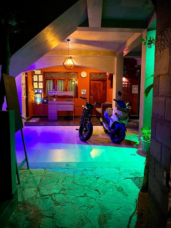 Hosté ubytování Tamara Motels