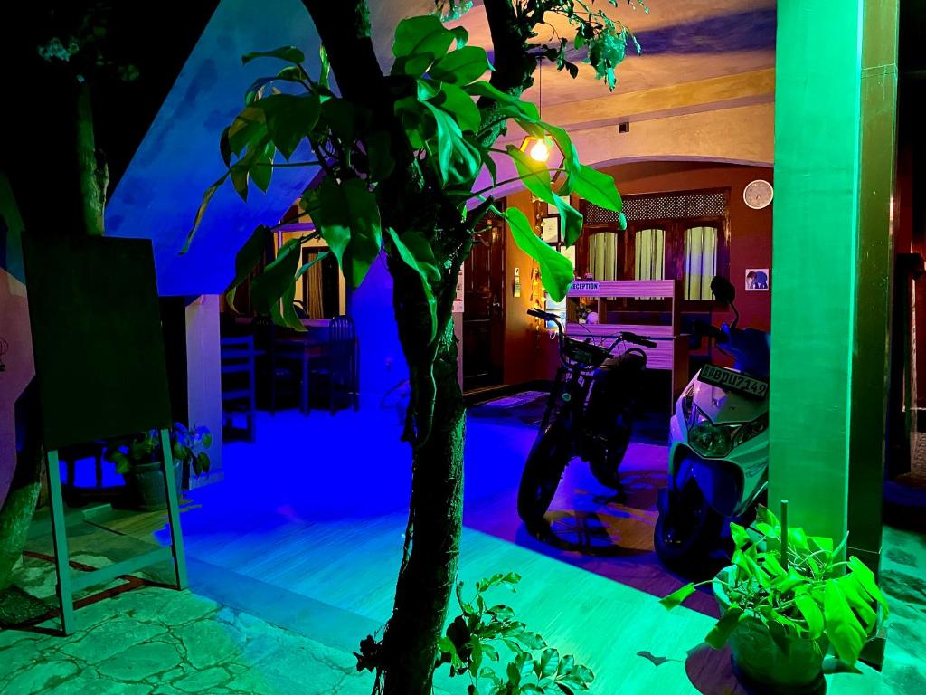 Hosté ubytování Tamara Motels