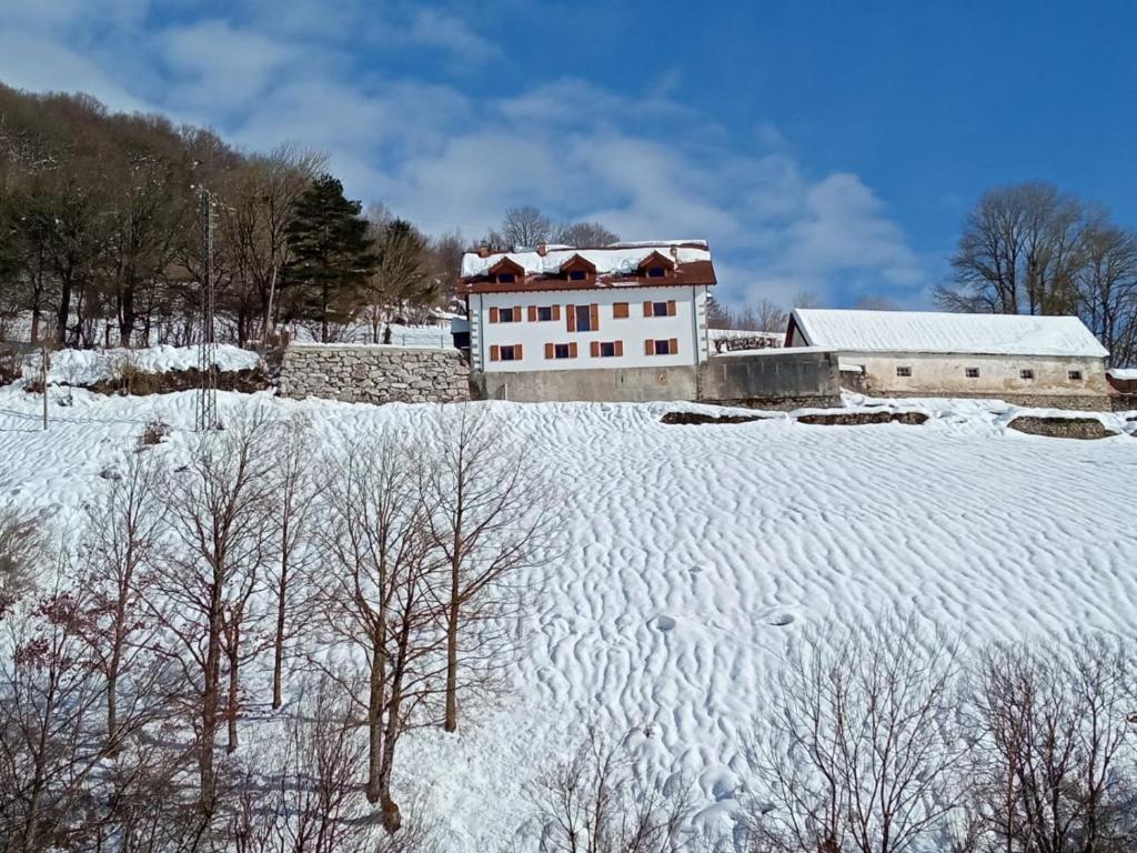 Apartamentos Zabalarena Basoa v zimě