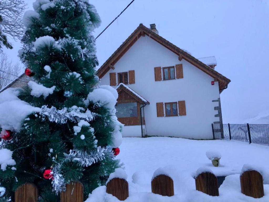 Apartamentos Zabalarena Basoa v zimě