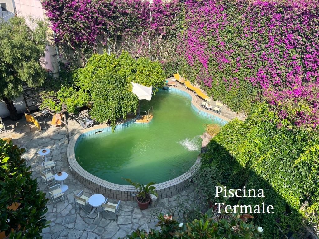 una vista sul tetto di una piscina con fiori di Villa Ciccio a Ischia