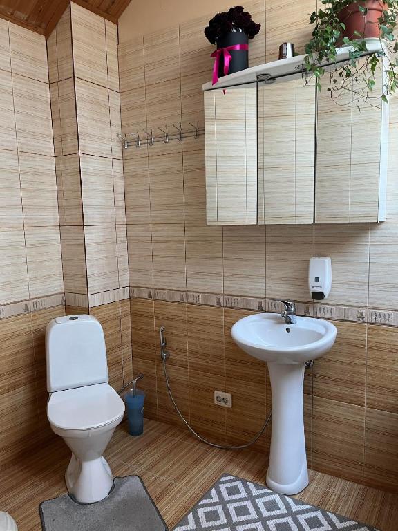 Koupelna v ubytování Vabaduse Guesthouse