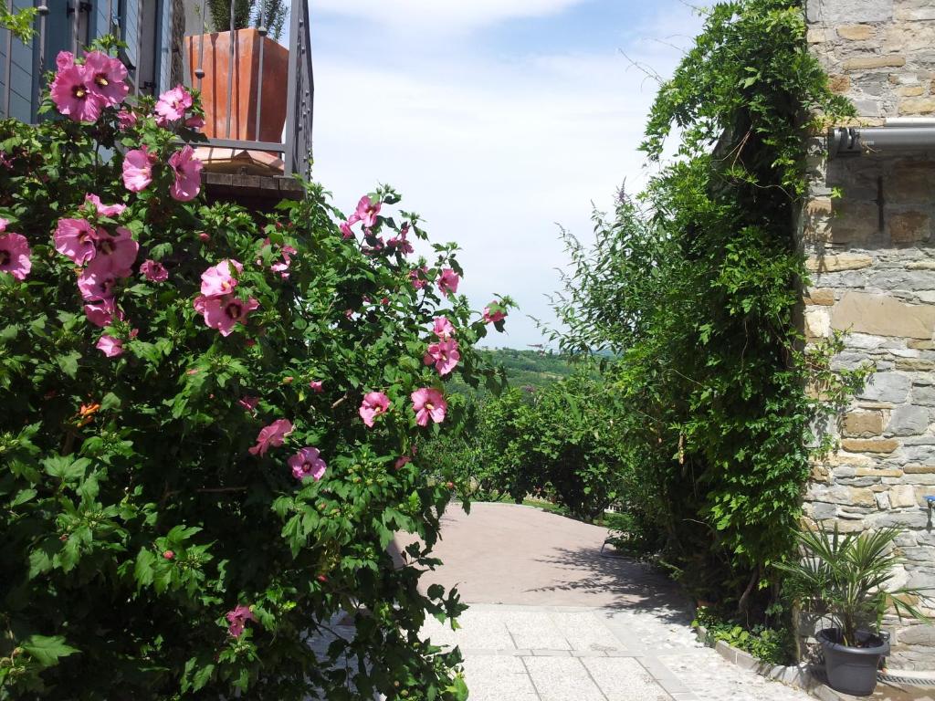 Zahrada ubytování Boutique Hotel Dvor