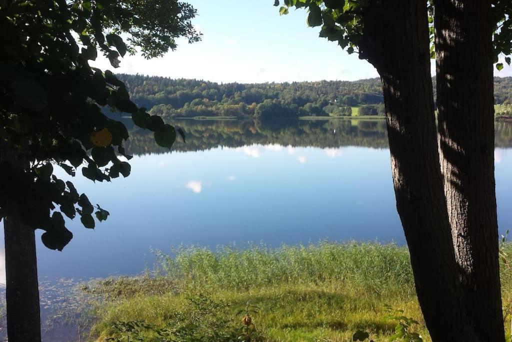 - une vue sur un lac à travers les arbres dans l'établissement Idyllic lakeside cabin (hytte), à Horten