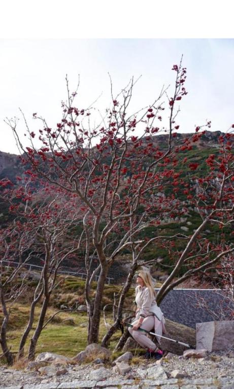 Apartament LILLA - 12