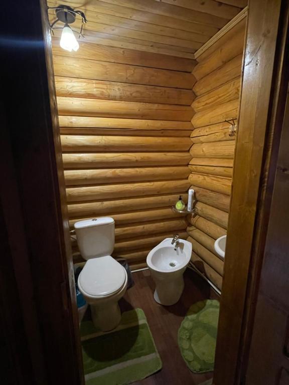 Koupelna v ubytování Cottage in Yasinya
