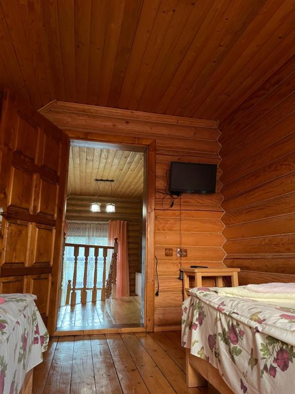 TV a/nebo společenská místnost v ubytování Cottage in Yasinya