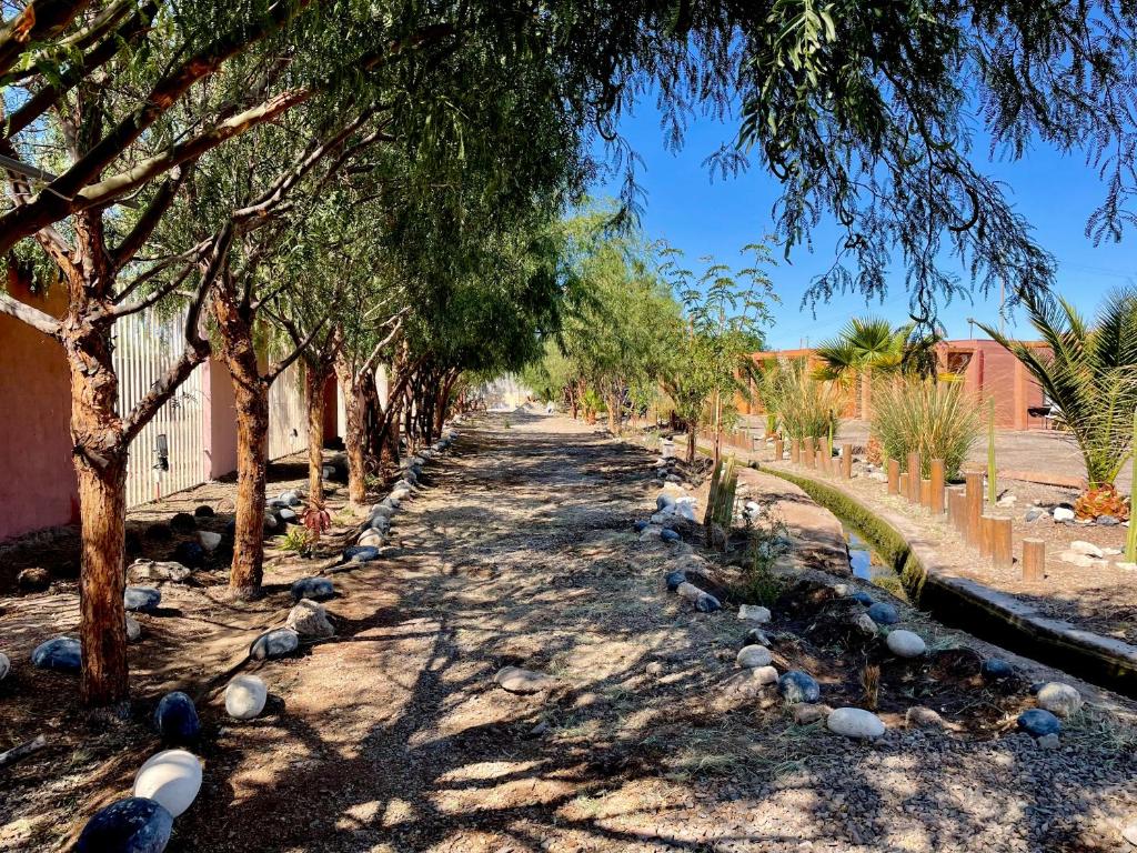 a dirt road with trees and rocks on it at Entre Rieles Cabañas y Restaurante in Calama