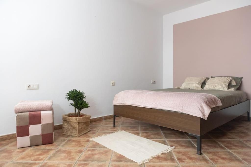 a bedroom with a bed and a potted plant at La Casita del Sol in Soo