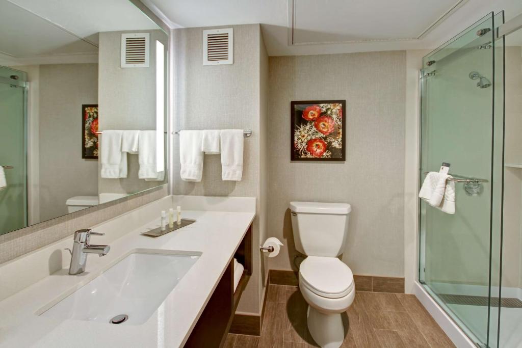 Koupelna v ubytování DoubleTree by Hilton Hotel Flagstaff